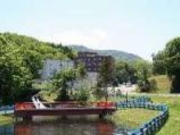 ̓o@̂ڂO[p[Nze̎ʐ^2