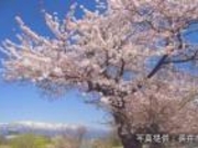 �ŏ���h��{���̎ʐ^1