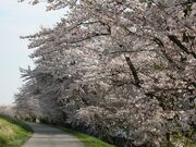 �ŏ���h��{���̎ʐ^2