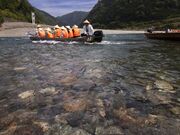 �F���M����̎ʐ^1