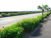 �n�C�r�X�J�X�ʂ�̎ʐ^1