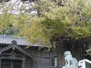 �匴�_�Ђ̎ʐ^1