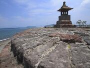 �{���l�`�h�g��i�q�C��j�̎ʐ^2