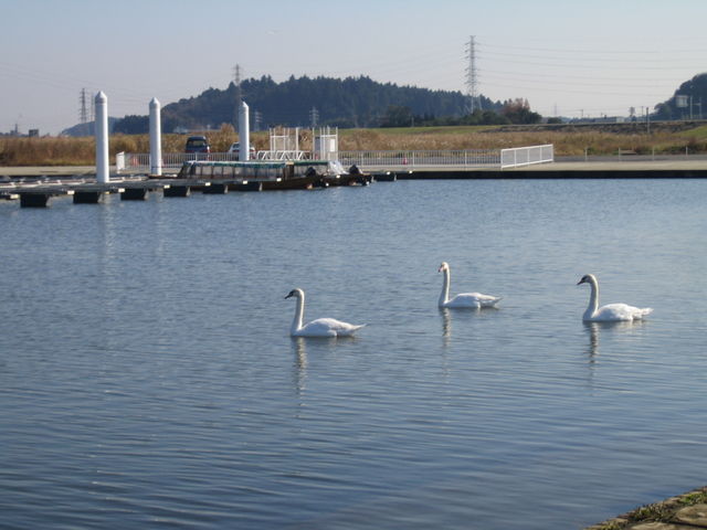 ���������̋�����炪���C�ɓ���_���̋������