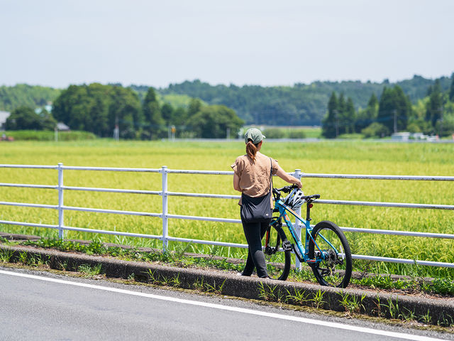 ^TCN@RLȖr򒬂y߂܂_ނX}[gEFlX^EẺwEǂ̋@