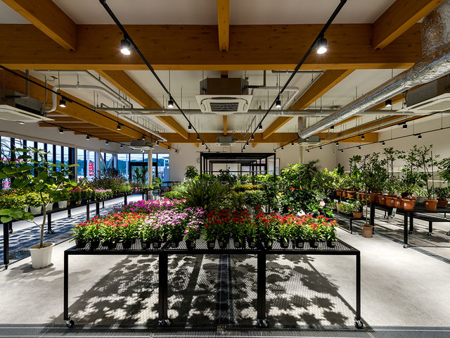 ǂ̎s@LXƂԙꁡ_ނX}[gEFlX^EẺwEǂ̋@