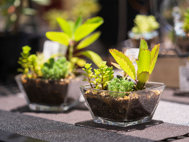 ǂ̎s@ϗtAAAA~́A_J̔Ă܂_ނX}[gEFlX^EẺwEǂ̋@