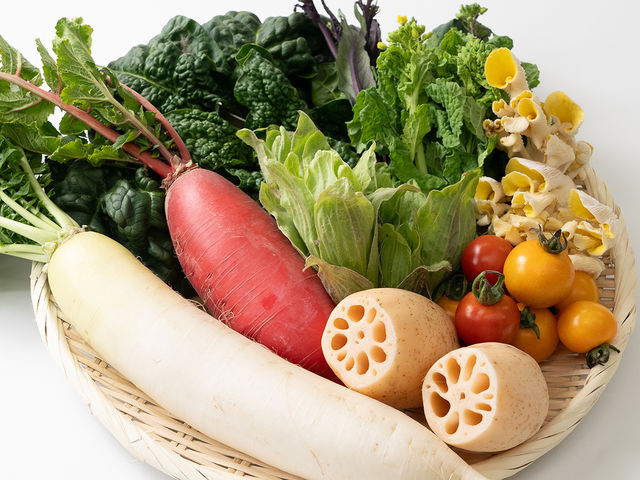 ǂ̎s@gŖLȖ[̒nł͂܂ꂽ_YHiAr򒬎ŶĂȂǂ̔Ă܂_ނX}[gEFlX^EẺwEǂ̋@