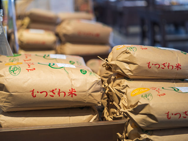 ǂ̎s@̂ނā_ނX}[gEFlX^EẺwEǂ̋@