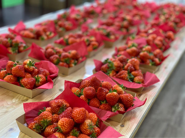 斉藤いちご園】予約・アクセス・割引クーポン - じゃらんnet