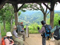 ���{���E�����h�o�R���̎ʐ^1