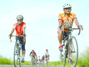 ���̋������̎ʐ^4