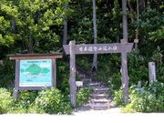 ���{���E�����h�o�R���̎ʐ^3