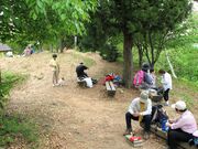 ���{���E�����h�o�R���̎ʐ^4