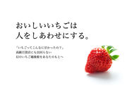 �ē����������̎ʐ^3