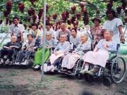 �c���Ԃǂ����̎ʐ^1