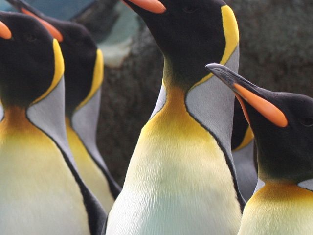 箱根園水族館