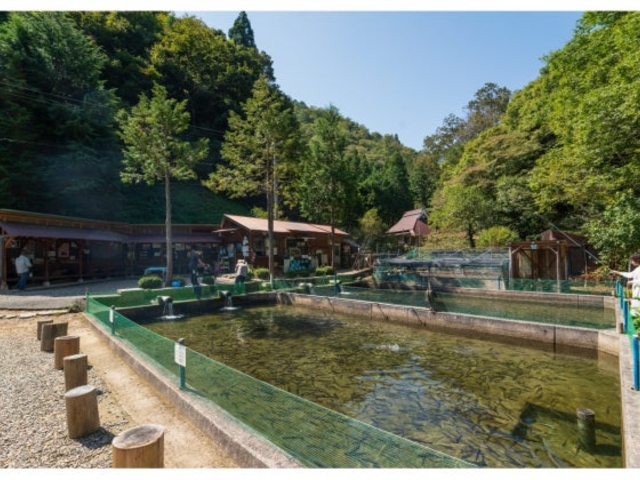 �_�V���t�B�b�V���O�̎ʐ^1