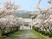 ���s�_�Ђ̎ʐ^1