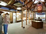 ���ւ��𗬃T�����̎ʐ^1