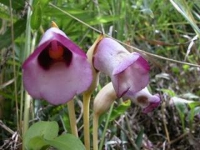 �H�g��^�i���o���L�Z���̎ʐ^1