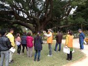 ��I����{�����e�B�A�K�C�h�̎ʐ^2