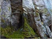 uMB̖E鐅v@Ԑ_З{_̎ʐ^1