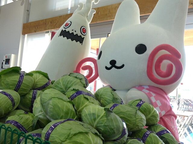 �t�@�[�}�[�Y�Z���^�[�݂́[�ꗧ��̎ʐ^1