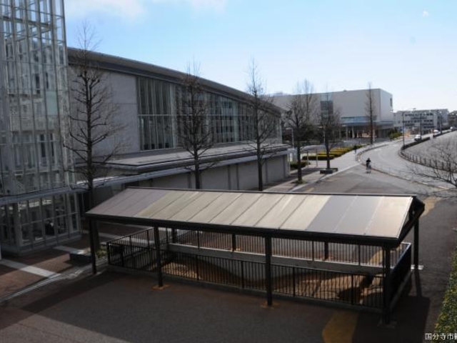 ���R�������H�Ղ̎ʐ^2