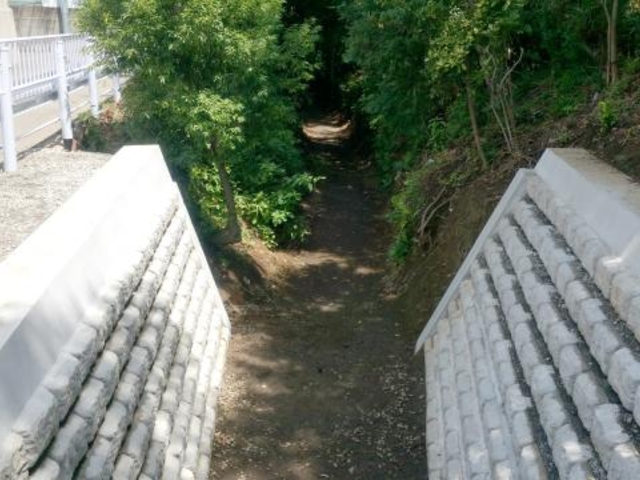 �����E�������̎ʐ^1