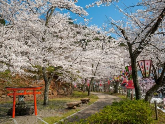 ��➌����̍��̎ʐ^1