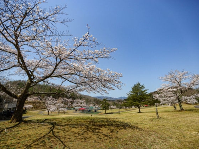 �݂ǂ�Ǝ��R�̑��@���z�L��̍��̎ʐ^1