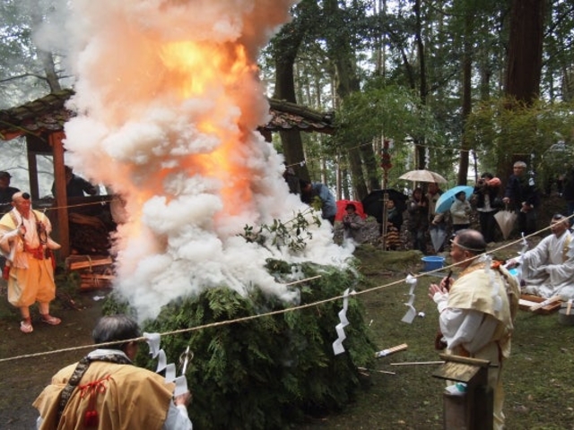 �s�X�Øa�C�_�Ђ̎ʐ^1