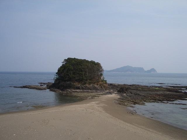 ������̎ʐ^1