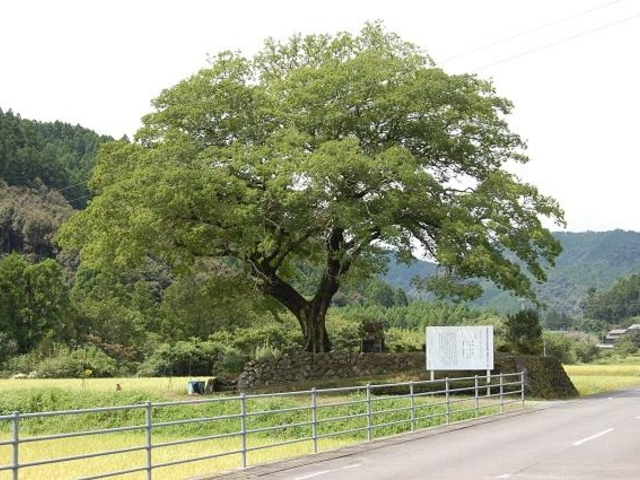 �����̃��N�m�L�̎ʐ^1