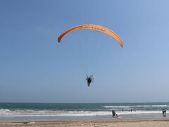 �p���O���C�_�[�̌��̎ʐ^1