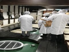 �𑠌��w�i�m��c�{�Ɓj�̎ʐ^