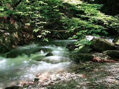 ���I�R�k�J�̎ʐ^1