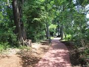 �����E�������̎ʐ^3