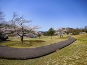 ݂ǂƎȒ@zL̍̎ʐ^3