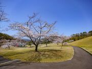 �݂ǂ�Ǝ��R�̑��@���z�L��̍��̎ʐ^4