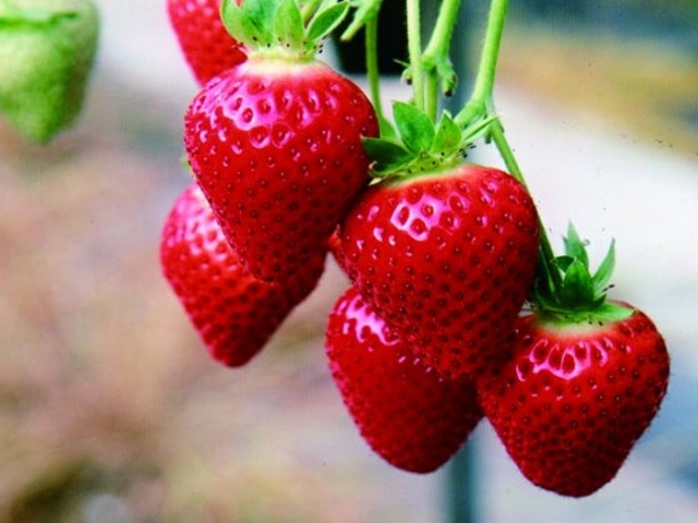 �t�@�[�X�g���|�̎ʐ^1