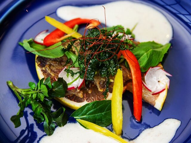 �k�J�̉B��h �c�J���l�̎ʐ^1