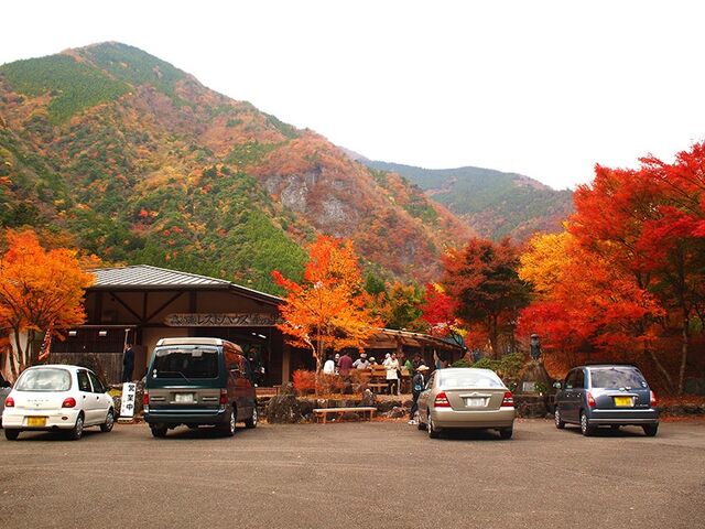 ���̐������X�g�n�E�X�@���̗��̎ʐ^1