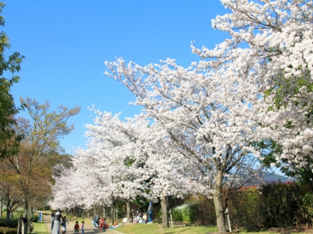 �������ލ����؂̎ʐ^1