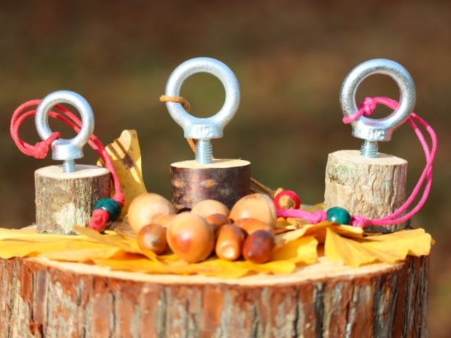 �o�[�h�R�[���쐬�̌��̎ʐ^1