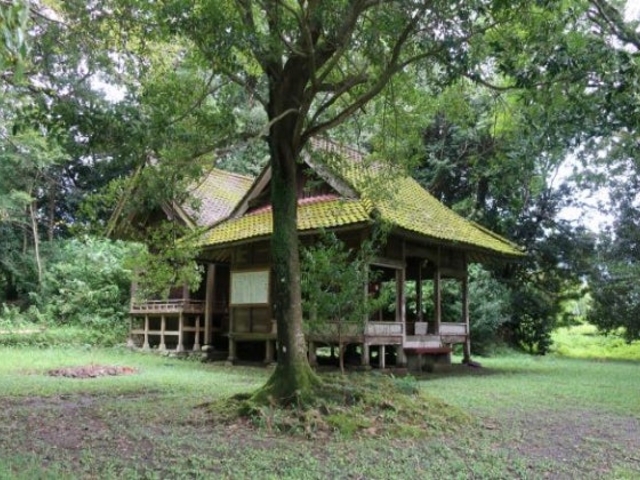 ��l�_�Ђ̎ʐ^1