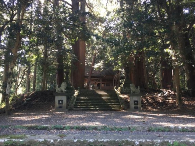 ����_��_����_��