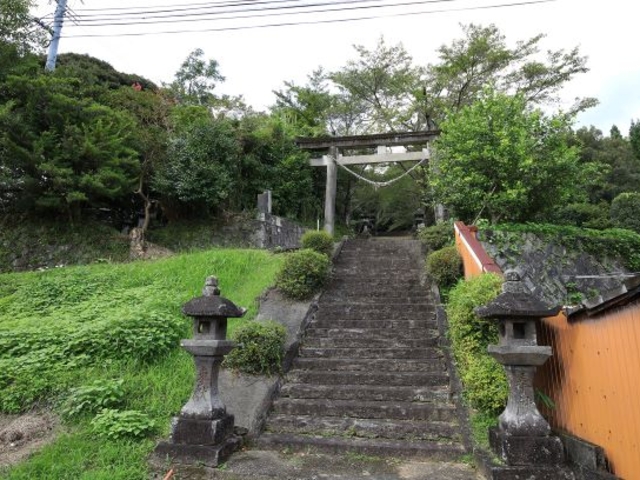 �{���_��_�{���_��