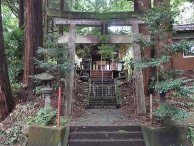 �g���_��_�g���_��